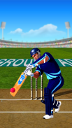 T20 World Cricket League screenshot 0