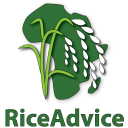 RiceAdvice Icon