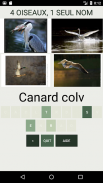 Quiz consacré aux oiseaux screenshot 4