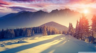 Winter HD Wallpapers screenshot 3