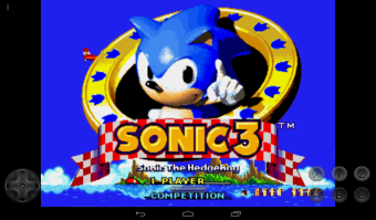 Sonic The Hedgehog 3 banner