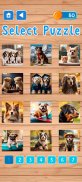 Dogs Puzzle Game screenshot 5
