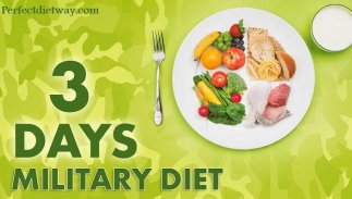 The Three Day Military Diet Plan screenshot 1