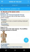 The Muscular System Manual screenshot 4