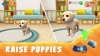 Dog Town: Jogos de Animais, Jogue e Cuide Cachorro screenshot 5