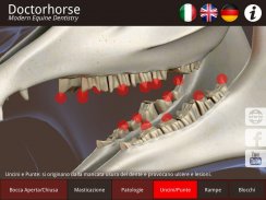 DoctorHorse screenshot 1