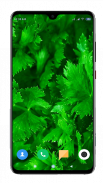 Green Wallpaper HD screenshot 15