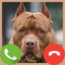 Fake Call Pitbull Game - Baixar APK para Android | Aptoide