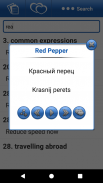 Speak Russian in 30 days screenshot 7
