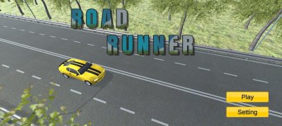 Road Runner screenshot 0