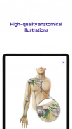 Daily Anatomy: Flashcard Quizzes to Learn Anatomy screenshot 3