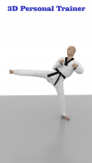 Taekwondo edzés otthon screenshot 6