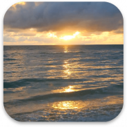 شاطئ الغروب خلفية متحركة screenshot 3