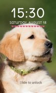 Cute Puppy Lock Screen Cute Puppy Pattern Passcode screenshot 2