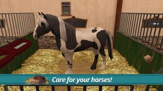 Horse World – моя верховая лошадь screenshot 11