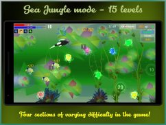 Ashley's Adventure World - hedgehog bay champion screenshot 4