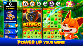 Xtreme Bingo! Slots Bingo Game screenshot 0
