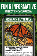 Animal Encyclopedia of Insects screenshot 2