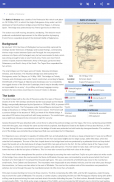 Battles of napoleonic wars screenshot 5