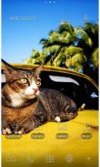 Cute Theme-Cat on a Car- screenshot 0