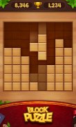 Wood Block Puzzle screenshot 19
