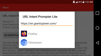 URL Intent Prompter Lite screenshot 9