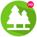 Forest Sounds Icon