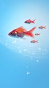 Gold Fish Live Wallpaper screenshot 5