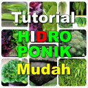 Tutorial Hidroponik Mudah Icon