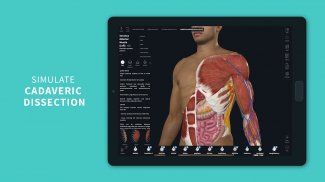 Complete Anatomy 19 for Android screenshot 12