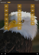 Eagle Sounds and Ringtone screenshot 1