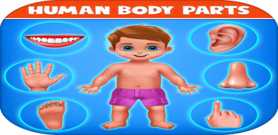 Human Body Parts - Kids Games