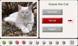 Guess the Cat: Tile Puzzle screenshot 6