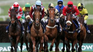 Horse Racing Wallpapers screenshot 10