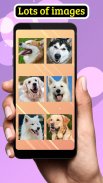 Dogs: Pixel Paint By Number screenshot 7