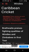 Cricket News Feeds screenshot 4