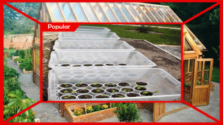 1000+ DIY Greenhouse Ideas screenshot 3