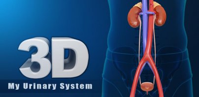 My Urinary System