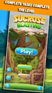 Sucrose Blasting screenshot 1
