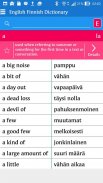 English Finnish Dictionary screenshot 3