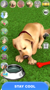 Sprechender Hund John. Virtuelles Haustier Spiel. screenshot 5