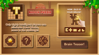Wood Block Puzzle! Jigsaw Game screenshot 3