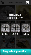 Owl Slide Puzzle screenshot 1