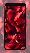 Rose Wallpapers screenshot 5