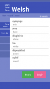 StartFromZero_Welsh screenshot 3