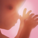 Pregnancy + | tracker app, week by week in 3D