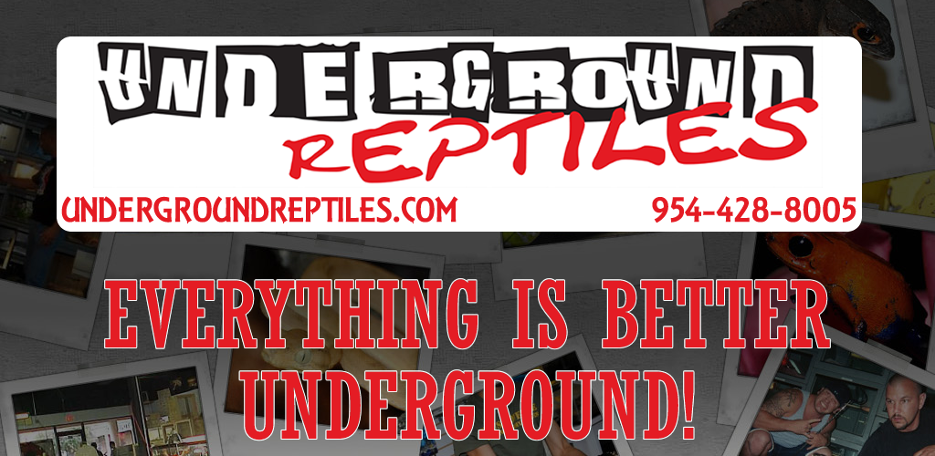 Underground Reptiles Store APK Download for Android Aptoide