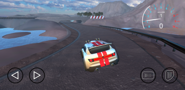 Freely Roam - Rally screenshot 1