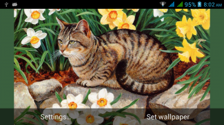 Cute Cats Live Wallpapers screenshot 1