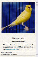 Canaries Info screenshot 7